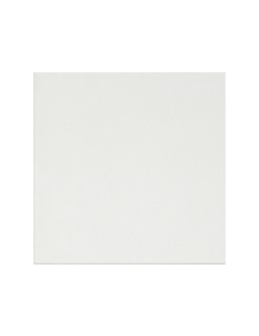 REV BLANCO MATE 20x20
