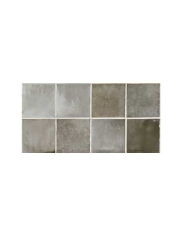 REV 25X50 LAVAL GRIS